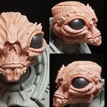 Load image into Gallery viewer, Planetary Reavers - Chirp

