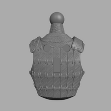 Load image into Gallery viewer, Samurai Torso
