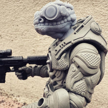 Load image into Gallery viewer, Planetary Reavers - Tortie
