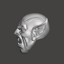Load image into Gallery viewer, Vampire Lord Bald Head
