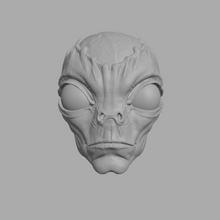Load image into Gallery viewer, Planetary Reavers - The Grey
