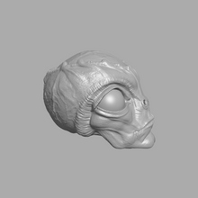 Load image into Gallery viewer, Planetary Reavers - The Grey
