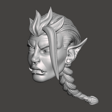 Load image into Gallery viewer, Amnir Orc Head
