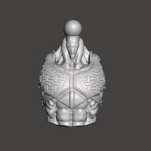 Load image into Gallery viewer, Plated Chest Warrior Torso
