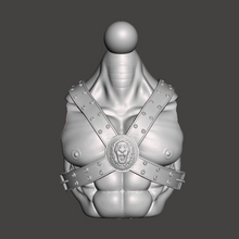 Load image into Gallery viewer, Lion Slayer Torso Version 1
