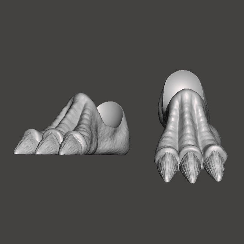Dragon Warrior Feet