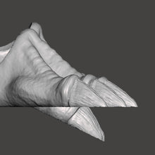 Load image into Gallery viewer, Dragon Warrior Feet
