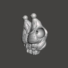 Load image into Gallery viewer, Two Headed Torso
