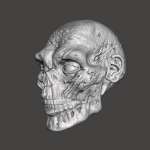 Load image into Gallery viewer, The Zombie Head
