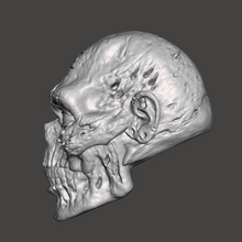 Load image into Gallery viewer, The Zombie Head
