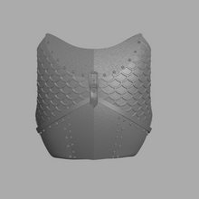 Load image into Gallery viewer, Armor Chest Plate - Scale #2
