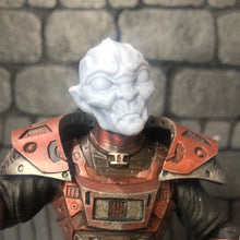Load image into Gallery viewer, Planetary Reavers - Krak
