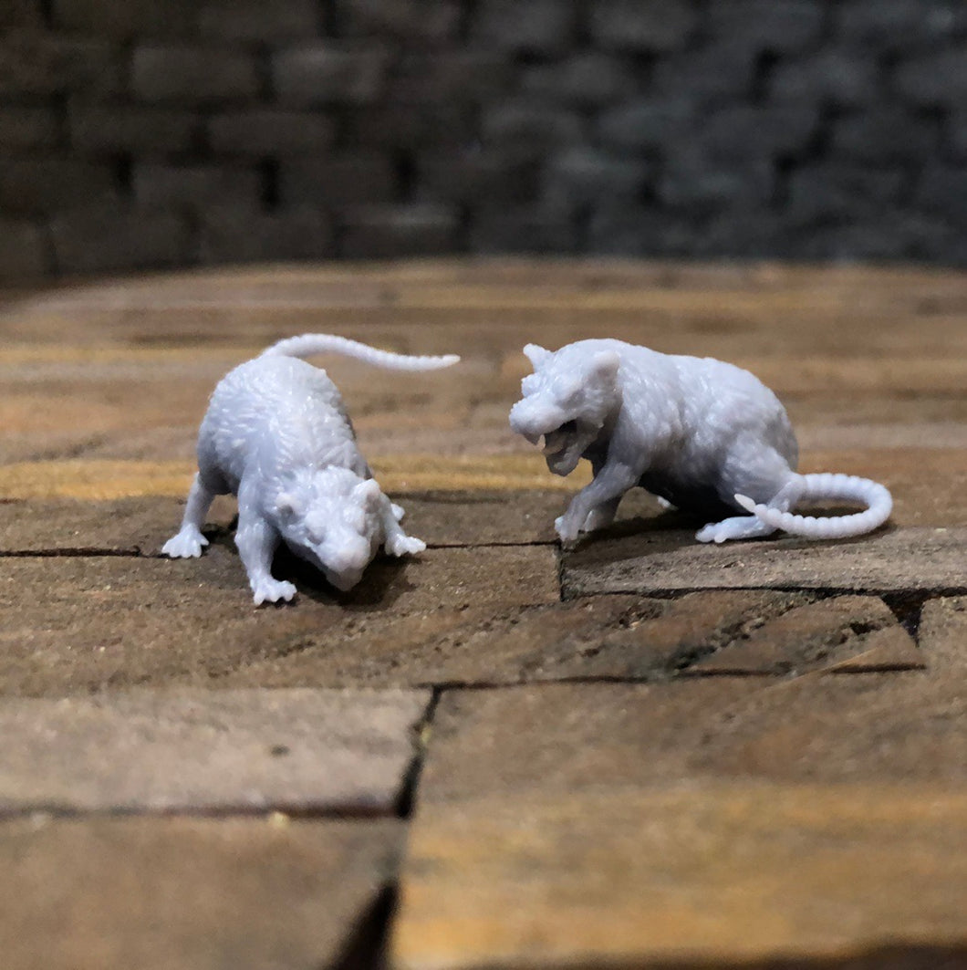 4 Pack of Rats