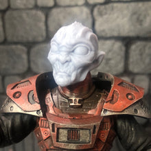 Load image into Gallery viewer, Planetary Reavers - Krak
