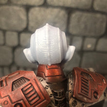 Load image into Gallery viewer, Planetary Reavers - Krak
